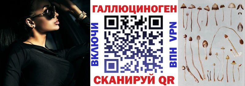 Галлюциногенные грибы GOLDEN TEACHER  наркота  Тавда 